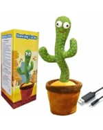 Cactus Groove - Image 4