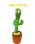 Cactus Groove - Image 3